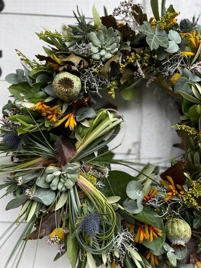 This is 14inch fresh flowers and foliages autumn wreath perfect for a door display.  Wreath to include oak leaf, limonium, thisle, kangaroo paws, solidago, dry poppies and mini succulents finished with vintage bow. Made by florist in Hayes, Bromley, Kent, UK