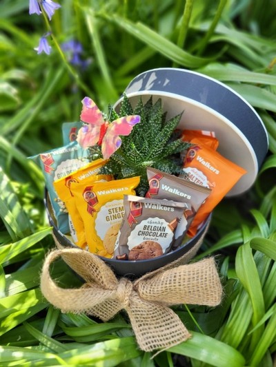 Hat box with walkers biscuits and indoor planter in ceramic pot decorated with butterflies made by florist in Bromley 