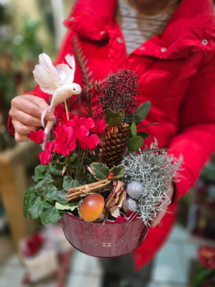 Christmas gift planter decorated by florist from Bromley 