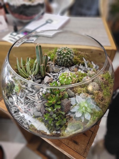 Bespoke indoor fishbowl planter with cactus and succulents made by florist in Hayes, Bromley