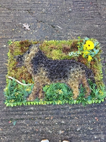 Designer board German Shepherd for funeral by Blooms and Candy Florist in Bromley