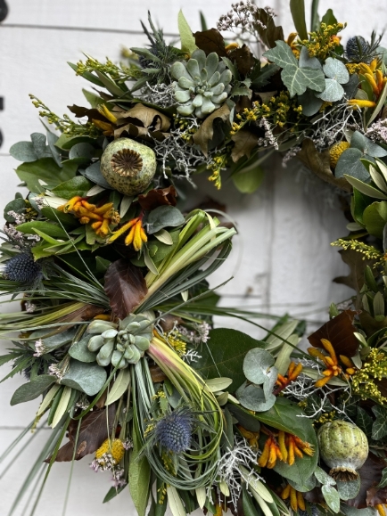 This is 14inch fresh flowers and foliages autumn wreath perfect for a door display.  Wreath to include oak leaf, limonium, thisle, kangaroo paws, solidago, dry poppies and mini succulents finished with vintage bow. Made by florist in Hayes, Bromley, Kent, UK