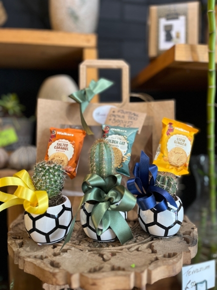 3 mini cactuses in ceramic football pots decorated with Walkers biscuits.  pots delivered in a kraft bag.  Lovely easy maintenance gift for a football fan! Made by florist in Bromley 