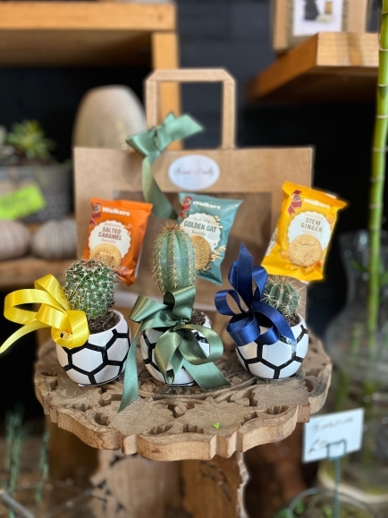 3 mini cactuses in ceramic football pots decorated with Walkers biscuits.  pots delivered in a kraft bag.  Lovely easy maintenance gift for a football fan! Made by florist in Bromley 