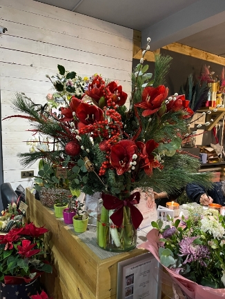 This is our special Christmas vase, made of best 4 buds Amaryllis stems, Ilex, eucalyptus and Pussy Willow dressed with winter foliages.  vase is 25cm tall  all arrangements is 80cm tall made by amazing independent local florist covering Bromley, Beckenham, Croydon, West Wickham, Keston, Cony Hall, Orpington, Petts Wood, Chislehurst, Biggin Hill, Selsdon, Gravel Hill