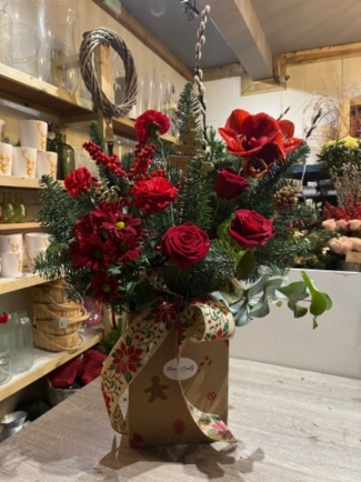 70 cm gift box arrangement to include Amaryllis, Roses, Carnations, Ilex, Pussy Willow, Eucalyptus, Pines, Blue spruce, gold tree ornaments with big hessian bow. Amazing long lasting gift to enjoy. Made by florist in Hayes, Bromley, Kent, UK for same day delivery in all BR and CR postcodes