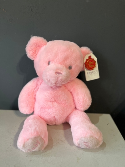Pink Teddy 20cm