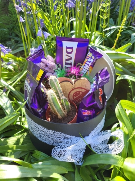 Hat box with sweets and plant perfect gift for a boy or teenager made by florist in Hayes, Bromley