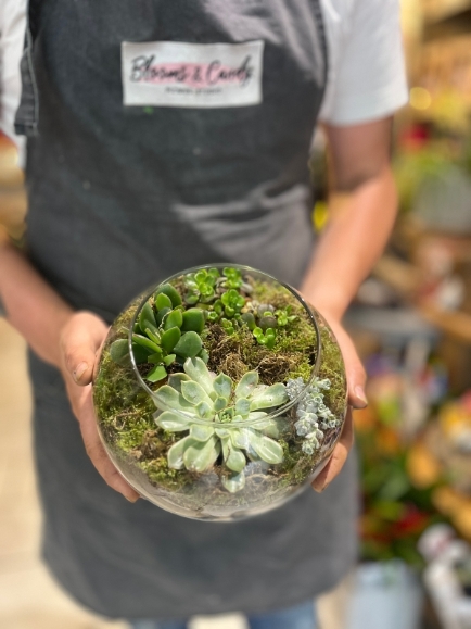 Bespoke indoor fishbowl planter with cactus and succulents made by florist in Hayes, Bromley