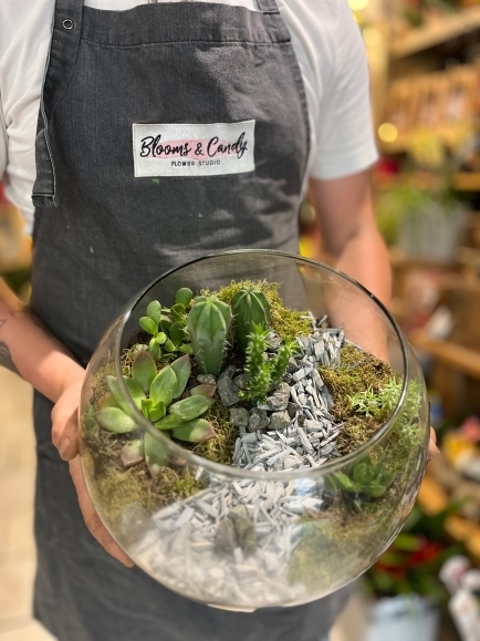 Bespoke indoor fishbowl planter with cactus and succulents made by florist in Hayes, Bromley
