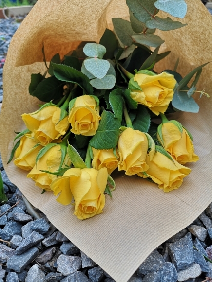 Yellow Rose Wrap